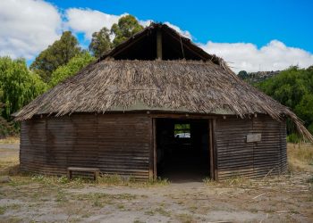 Región del Maule avanza en salud intercultural: SSM acompaña la formación intercultural de Retiro en la Ruka de Talca