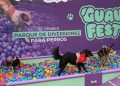 GuauFest: Más de 20 actividades, piletas, agilidad y desafíos sensoriales tendrá el festival perruno más grande del país