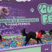 GuauFest: Más de 20 actividades, piletas, agilidad y desafíos sensoriales tendrá el festival perruno más grande del país