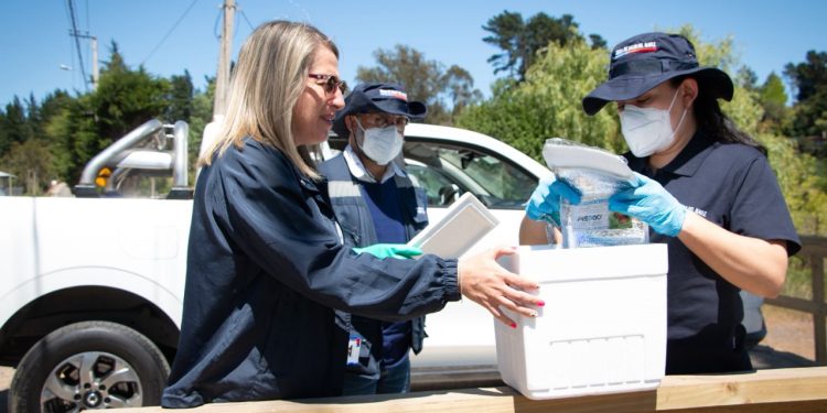 Seremi de Salud del Maule gestiona análisis especializados de muestras del Lago Vichuquén