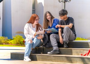 UTalca amplía oferta de minors para sus estudiantes