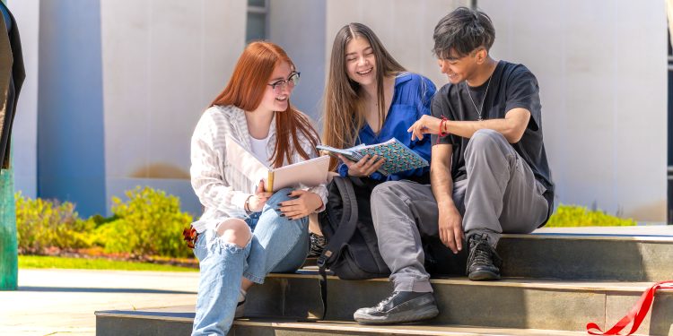 UTalca amplía oferta de minors para sus estudiantes