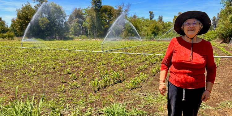 CNR invita a agricultoras del Maule a postular a proyectos de riego con alto impacto productivo