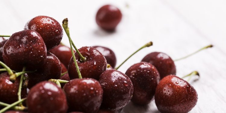 ProChile: Maule obtuvo el mayor número de proyectos empresariales adjudicados en el Concurso Silvoagropecuario 2026