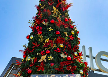 Navidad en Curicó: Solidaridad y panoramas para todas las edades