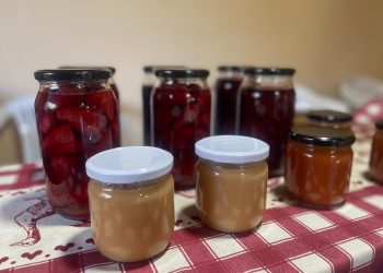 Mayor aprendizaje y autonomía en Longaví: exitoso cierre del proyecto “Endulzando la Vida”