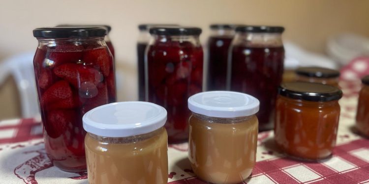 Mayor aprendizaje y autonomía en Longaví: exitoso cierre del proyecto “Endulzando la Vida”