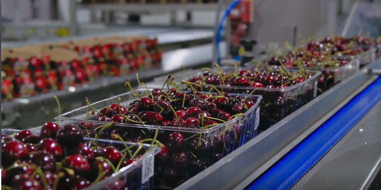 Empack refuerza su foco regional y acerca automatización inteligente a empresas de El Maule a Los Lagos