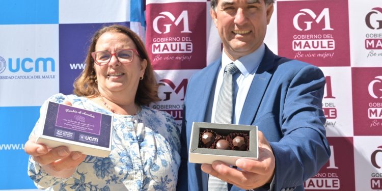 El Maule impulsa su crecimiento: Gobierno Regional lanza fondo para proyectos que transformarán la economía local