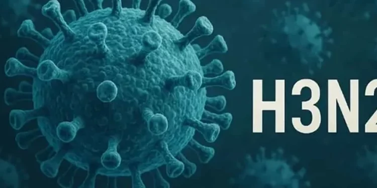 Minsal confirma detección de subclado K de influenza A(H3N2) en Chile