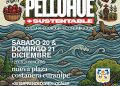 Pelluhue inaugura su primera feria enfocada 100% en el Turismo Sustentable