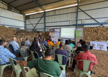 Seremi de Energía realizó capacitación informativa sobre nueva convocatoria para obtener el Sello Calidad de Leña