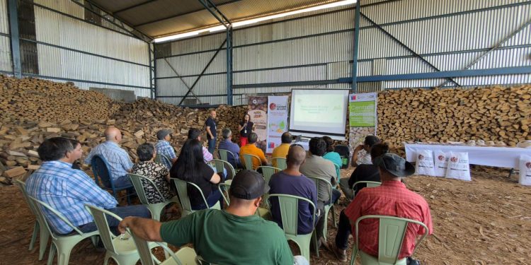 Seremi de Energía realizó capacitación informativa sobre nueva convocatoria para obtener el Sello Calidad de Leña