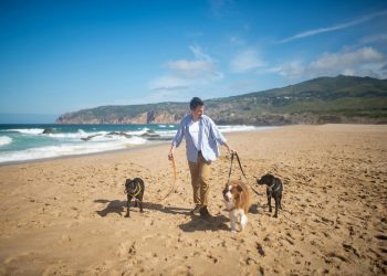 Tips para que sus mascotas no sufran con las altas temperaturas