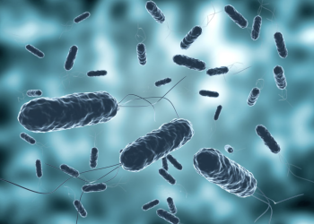 Académicas indagarán efecto renal por helicobacter pylori