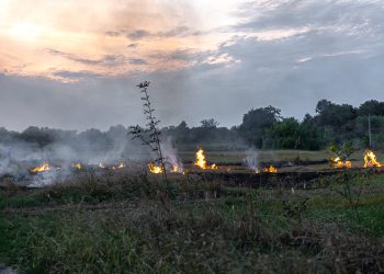 Incendios forestales: SSM alerta por riesgos a la salud, entrega recomendaciones y refuerza su red asistencial