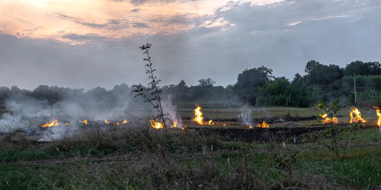 Incendios forestales: SSM alerta por riesgos a la salud, entrega recomendaciones y refuerza su red asistencial