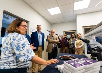 Crean chocolate funcional que permite combatir el cáncer gástrico