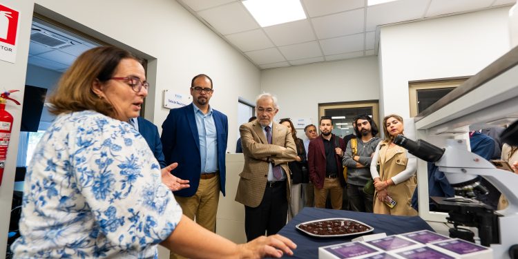 Crean chocolate funcional que permite combatir el cáncer gástrico