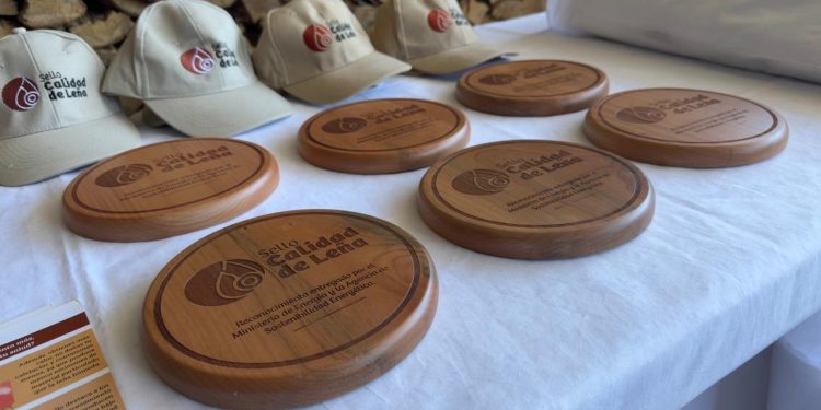 Extienden plazo de postulación al programa “Sello Calidad de Leña” del Ministerio de Energía
