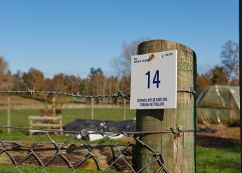 Octocelio: una nueva plataforma para la gestión del agua rural