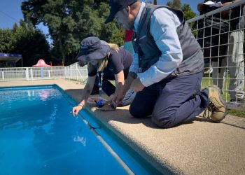 Seremi de Salud fiscalizó piscinas de la región en contexto de altas temperaturas