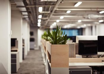 Riesgo digital en verano: ¿por qué las empresas quedan más expuestas a ciberataques en vacaciones?