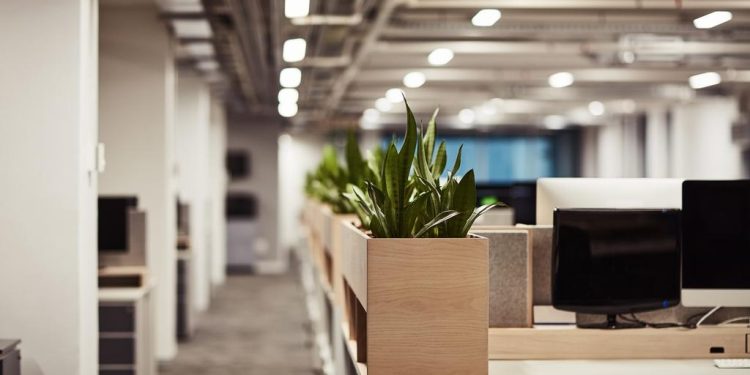 Riesgo digital en verano: ¿por qué las empresas quedan más expuestas a ciberataques en vacaciones?