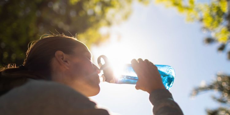 Calor extremo afectará la zona central de Chile durante el fin de semana