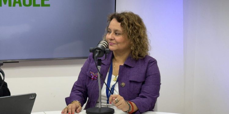 Seremi de Energía Maule llama a jóvenes a conocer e informarse sobre carreras del sector energético