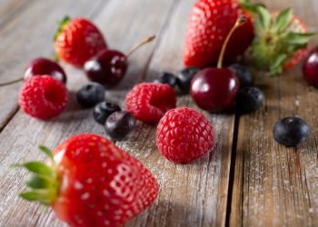 ProChile Maule destaca crecimiento de 7,7% en exportaciones durante 2025