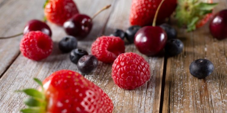 ProChile Maule destaca crecimiento de 7,7% en exportaciones durante 2025