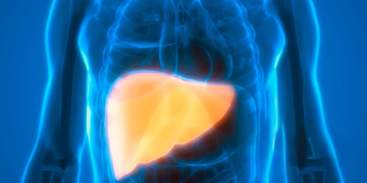 Investigación revela que derivado del Omega 3 podría atenuar el daño hepático por diabetes