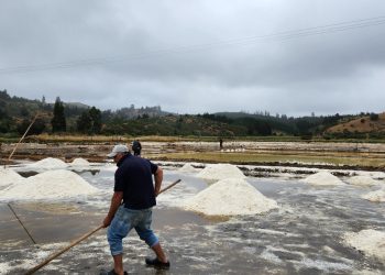 Salineros de Yoncavén: Donde el sol, el viento y el agua hacen memoria