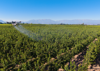Del cielo a la tierra: la “agricultura global” se construye desde el subsuelo hasta el espacio exterior