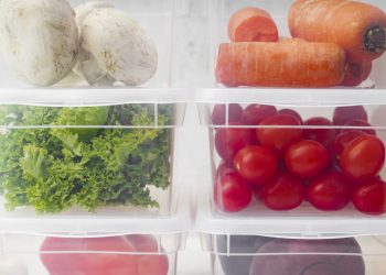 Servicio de Salud Maule refuerza llamado a prevenir enfermedades transmitidas por alimentos durante el verano