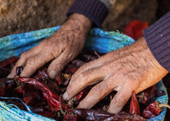 Exposición invita a redescubrir el patrimonio del Maule a través del arte y la memoria del territorio