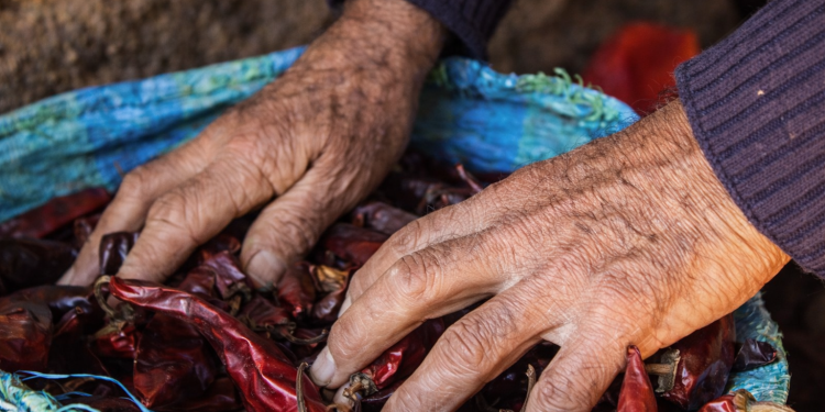 Exposición invita a redescubrir el patrimonio del Maule a través del arte y la memoria del territorio
