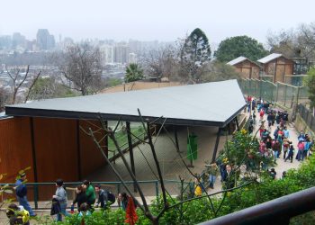 Zoo Nacional reabre sus puertas con entradas liberadas tras casi un año de cierre