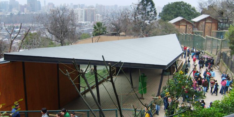 Zoo Nacional reabre sus puertas con entradas liberadas tras casi un año de cierre