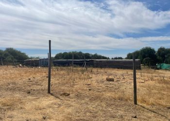 Conflicto por área verde en Cauquenes: propietario acusa desalojo ilegal