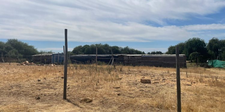 Conflicto por área verde en Cauquenes: propietario acusa desalojo ilegal