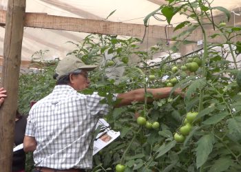 Proyecto de manejo de suelo y gestión hídrica beneficiará a productores del Maule