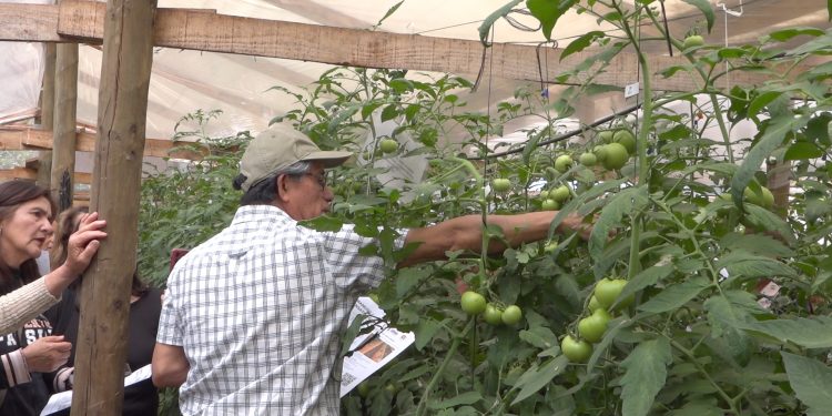 Proyecto de manejo de suelo y gestión hídrica beneficiará a productores del Maule