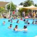 Más de 34 mil vecinos han asistido a las piscinas municipales gratuitas para compartir y refrescarse en familia