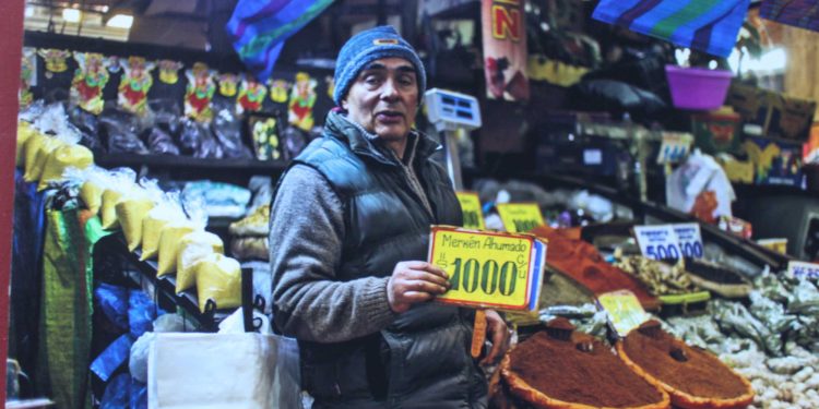 Con recorrido al pasado: “Ají de Palmilla y Vides centenarias de Cauquenes” en Museo O’Higginiano de Talca