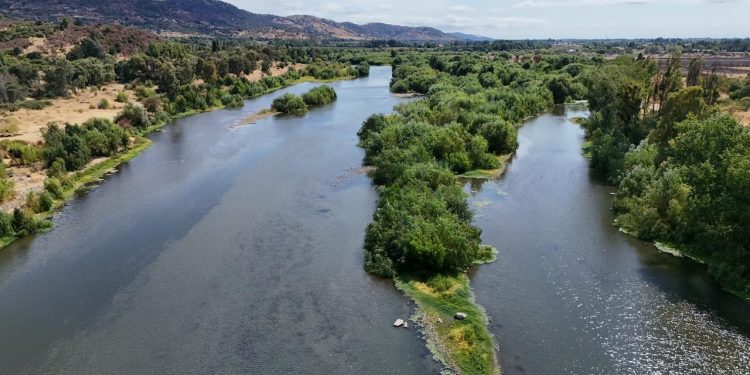 Talquinos conmemoran el Día Mundial de los Humedales con recorrido guiado a bordo de un catamarán