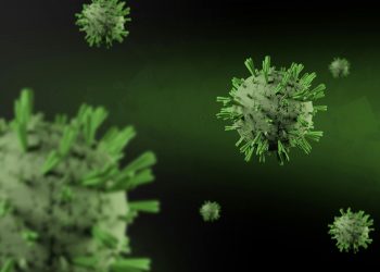 ¿Otra pandemia? Qué es el virus Nipah que afecta a India y cuál es el riesgo real para Chile