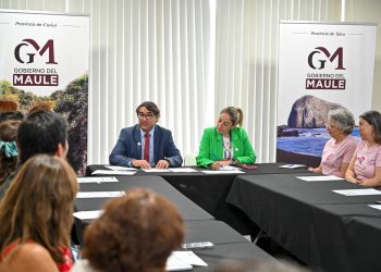 Autoridades regionales y sociedad civil analizan diagnóstico oncológico del Maule en el Día Mundial del Cáncer