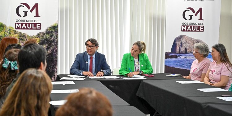 Autoridades regionales y sociedad civil analizan diagnóstico oncológico del Maule en el Día Mundial del Cáncer